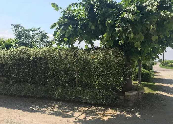 Corte Colombaron