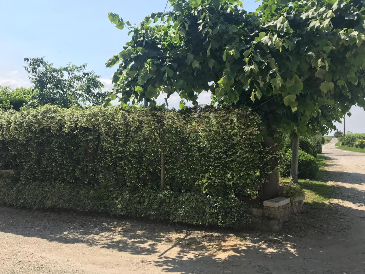 Corte Colombaron Appartement